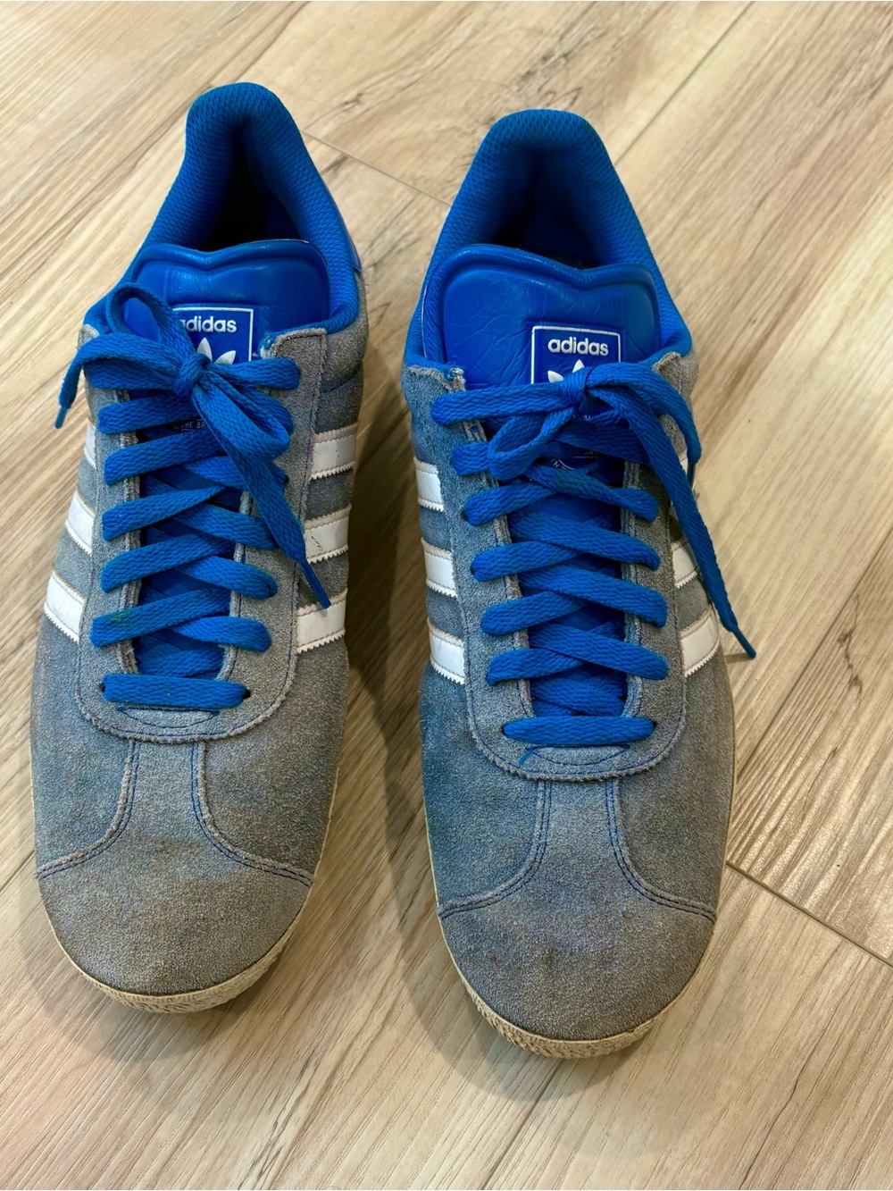 Adidas Blue Suede gazelle Sneakers
